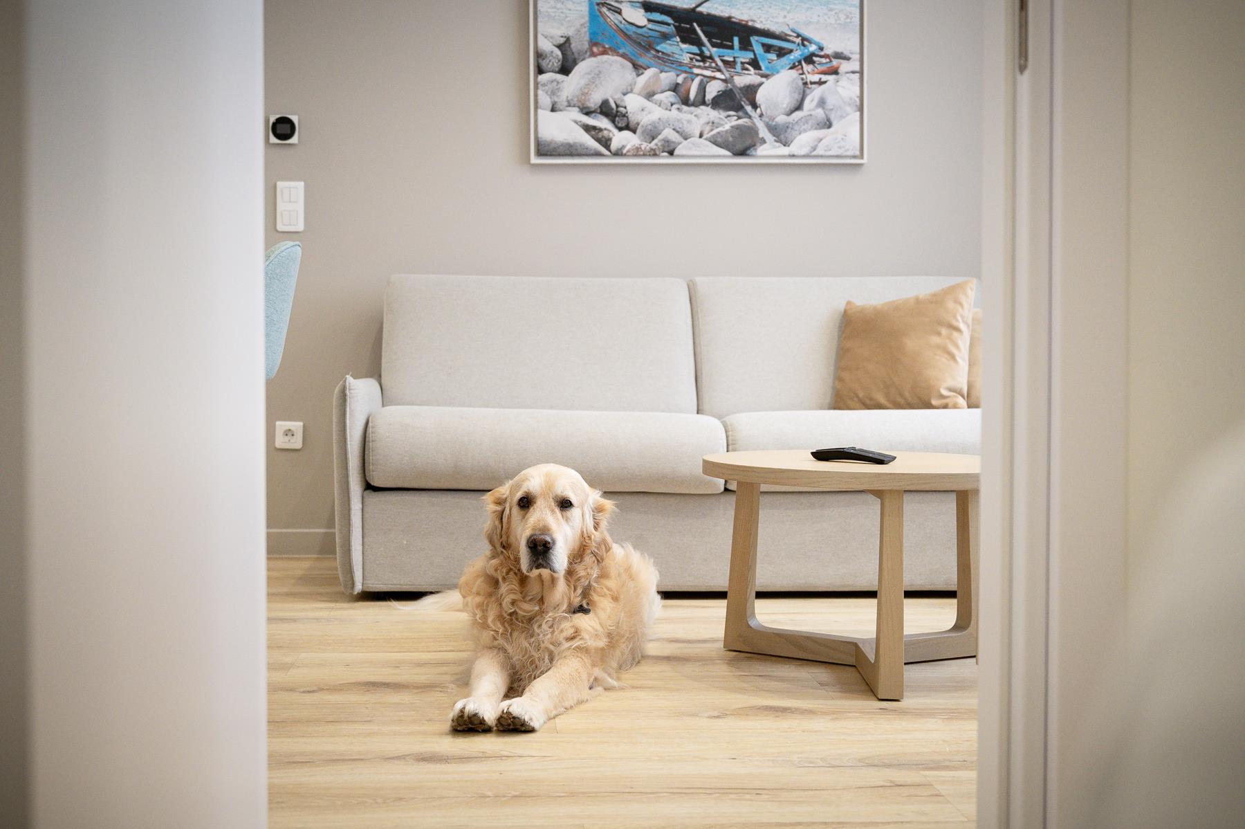 pet friendly (11)